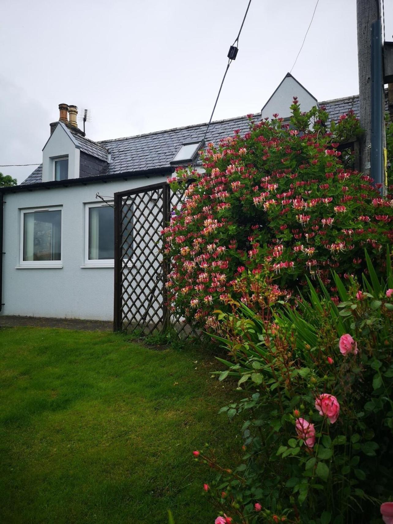 Mike'S 3-Bedroom Countryside Cottage Alness Kültér fotó